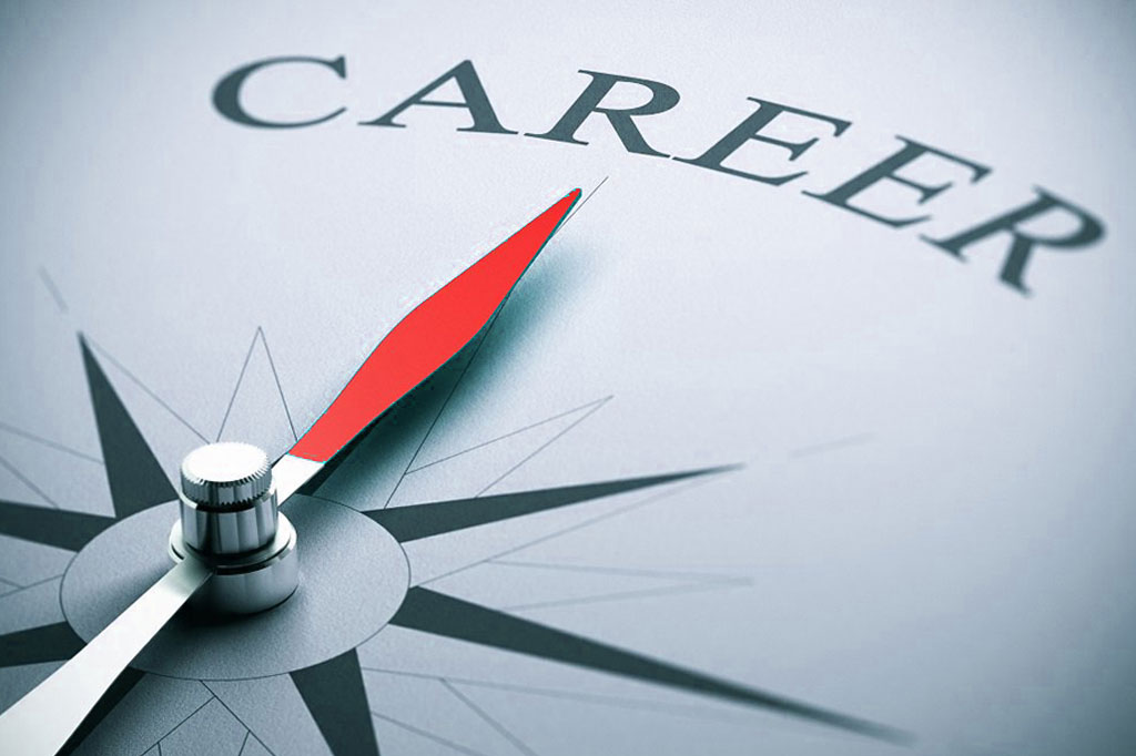 career (job/Service)